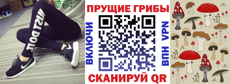 Псилоцибиновые грибы MAGIC MUSHROOMS Петровск-Забайкальский